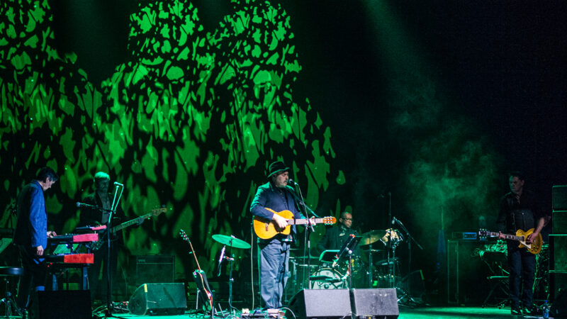 Galerija fotografija – Tindersticks – Beograd