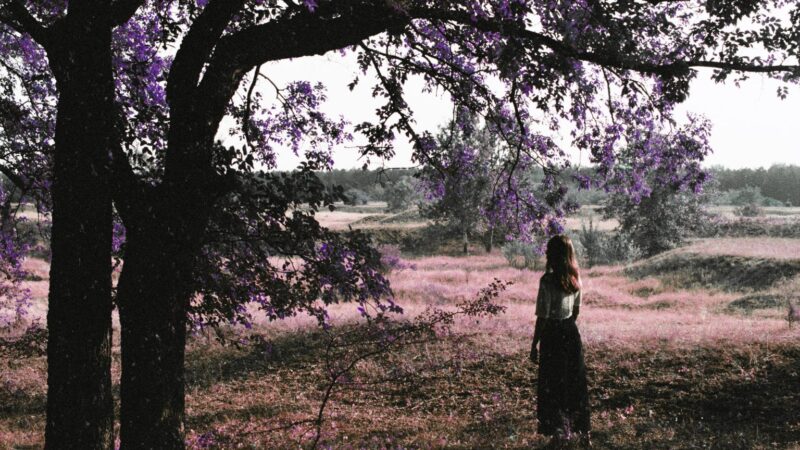 Stroberiz predstavlja novi singl “Tiho”