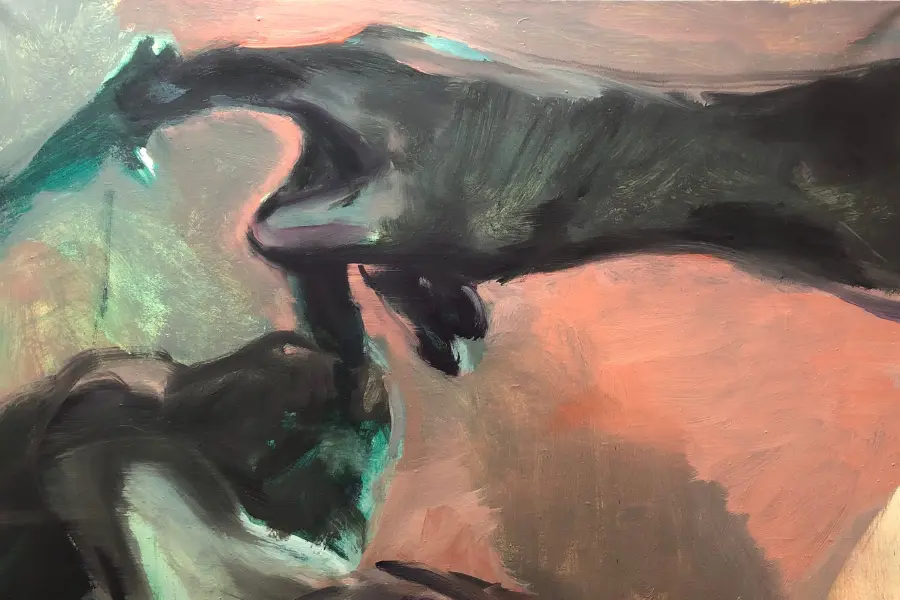 Noć je pala na sve što smo izbegavali: Tomica Radulović